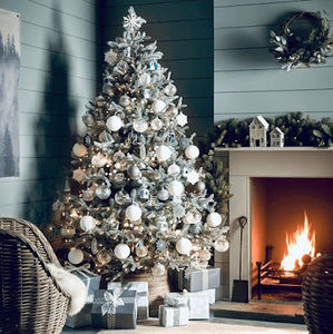 Meet your Posher, Ella